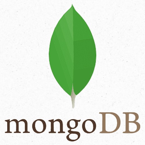 Logo 1